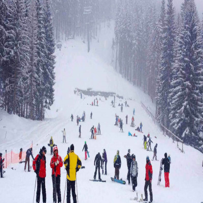 Himachal Winter Carnival Place to visit